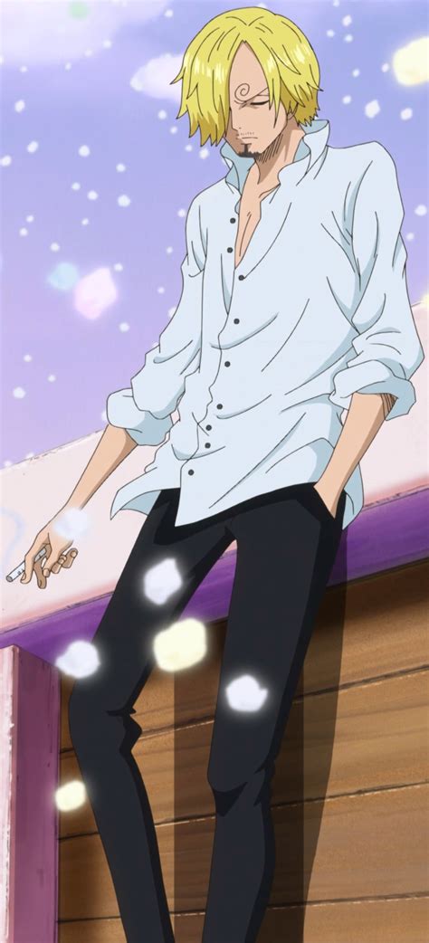 Image - Sanji Whole Cake Island Arc First Outfit.png | One Piece Wiki | FANDOM powered by Wikia