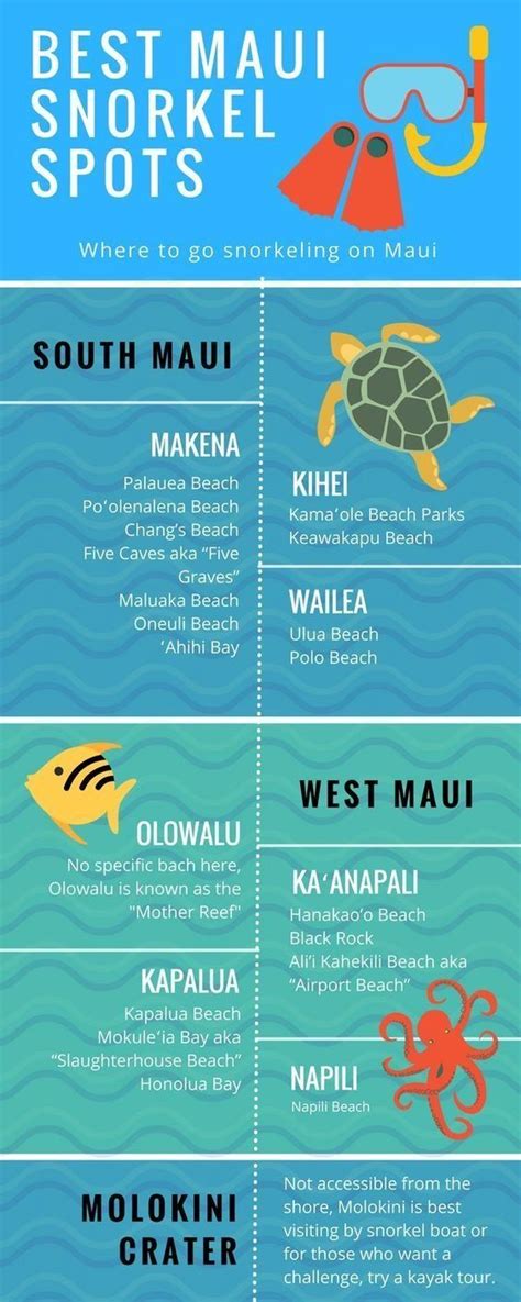 The best snorkeling spots around maui – Artofit