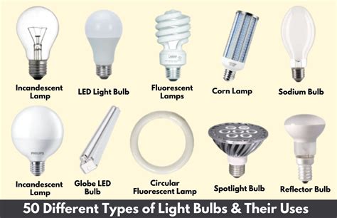 50 Types Of Light Bulbs | Incandescent Light Bulb | Best Light Bulb ...