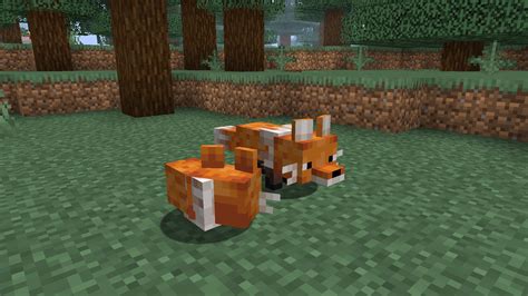 How do you turn a fox into a snow fox in Minecraft? - Rankiing Wiki ...