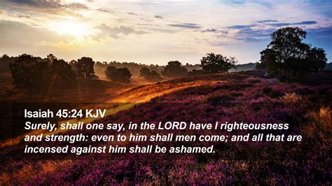 Isaiah 45:24 KJV Desktop Wallpaper - Surely, shall one say, in the LORD have I