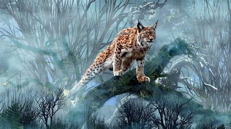 Eurasian Lynx Wallpapers - Top Free Eurasian Lynx Backgrounds - WallpaperAccess