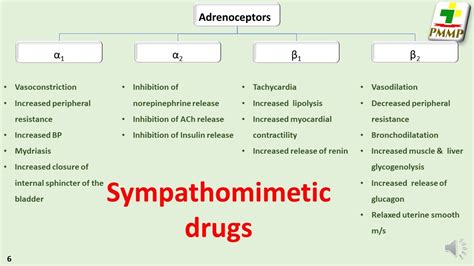 Sympathomimetic drugs, Systemic Pharmacology, S-3.1.1 - YouTube