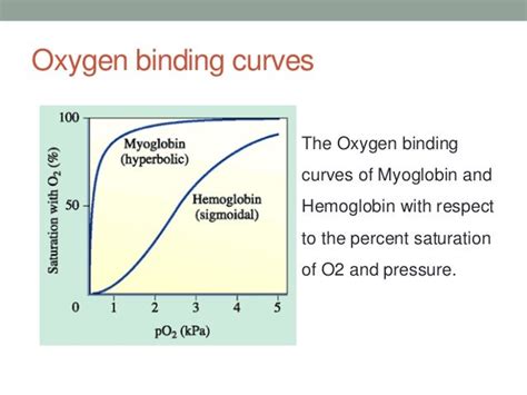 Oxygen Binding by Myoglobin and Hemoglobin