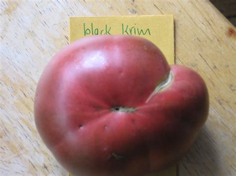 Black Krim Heirloom Tomato - urbantomato