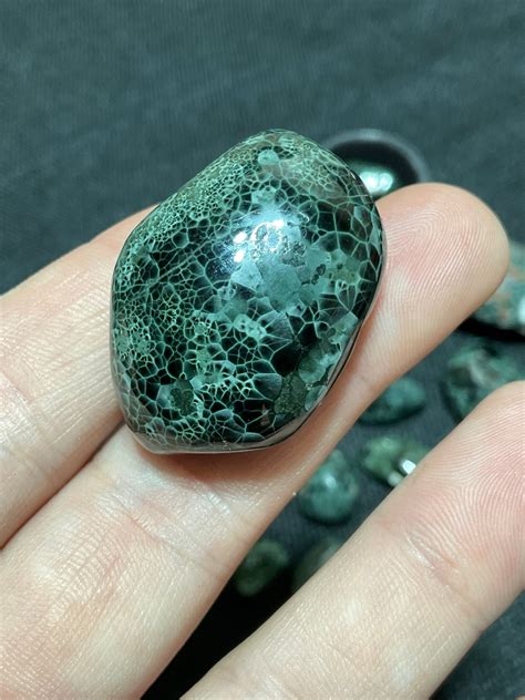 Isle Royale Greenstone Chlorastrolite Gem XXL RARE Polished Amazing Specimen - Etsy