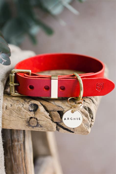 Red Leather Dog Collar and Personalized Dog Name Tag Gift Set | Etsy