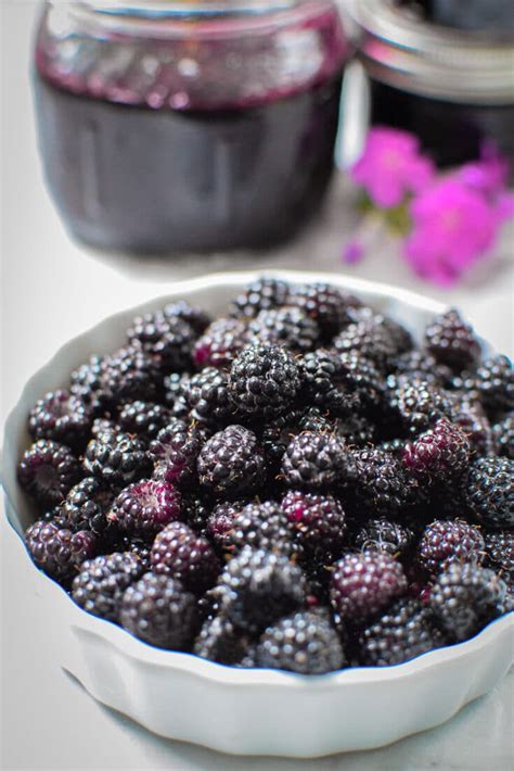 Wild Blackberry or Black Raspberry Jam » Emily Kyle, MS, RDN