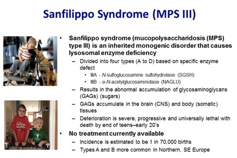 Sanfilippo Syndrome (Mucopolysaccharidosis III) | CheckRare