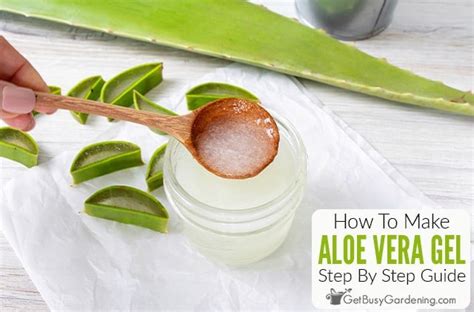 How To Make Aloe Vera Gel Straight From The Plant