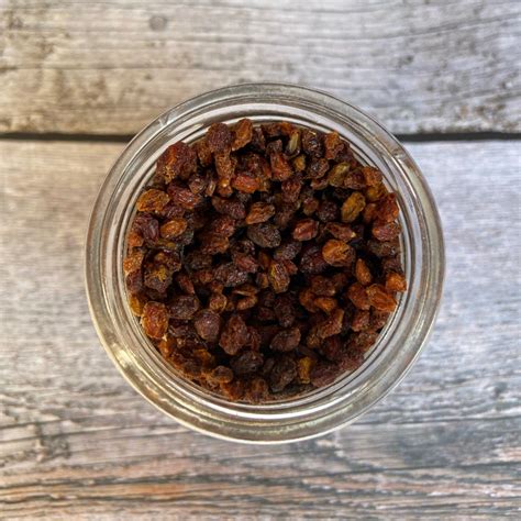 Dried Sea Buckthorn Berries [from Himachal Pradesh], 80g - Homegrown Platter