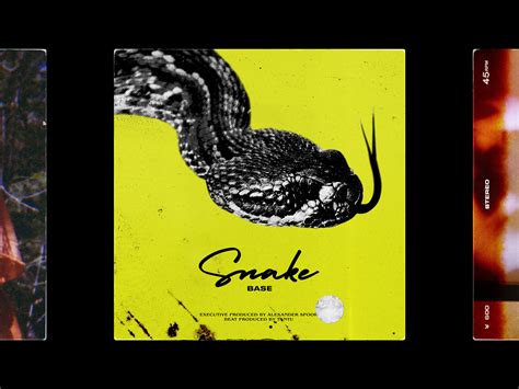 Cover Art for 'Snake' by Base by Alexander Spoor on Dribbble