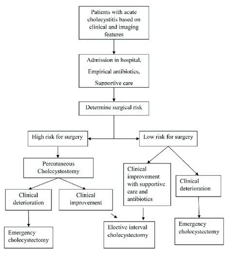 Algorithm for management of acute cholecystitis. | Download Scientific Diagram