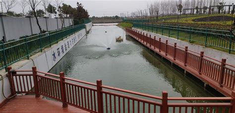 Polluted rivers treated with successful new material developed in Shanghai - SHINE News