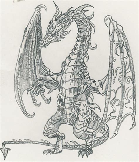 European Dragon | Dragon drawing, Art journal, Sketches