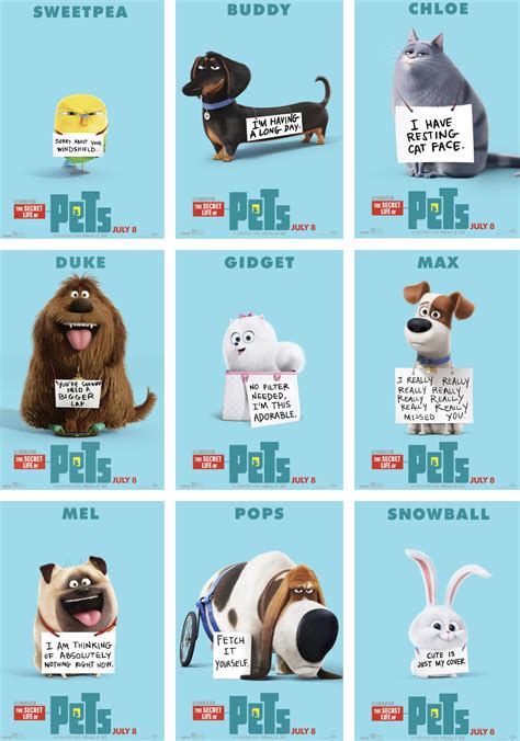 the secret life of pets movie poster with many different characters, including dogs and cats