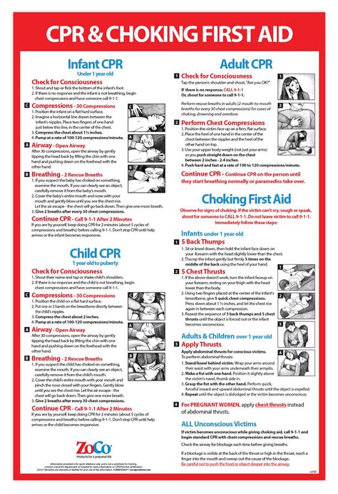 Buy CPR and Choking for Infant, Child, Adult - Laminated, 12 x 18 in ...