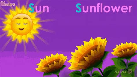 S For Sun Sunflower GIF - S For Sun Sun Sunflower - Discover & Share GIFs