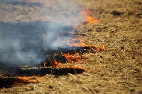 Leaf burning and peatland fires: an important safety rules reminder – Rubryka