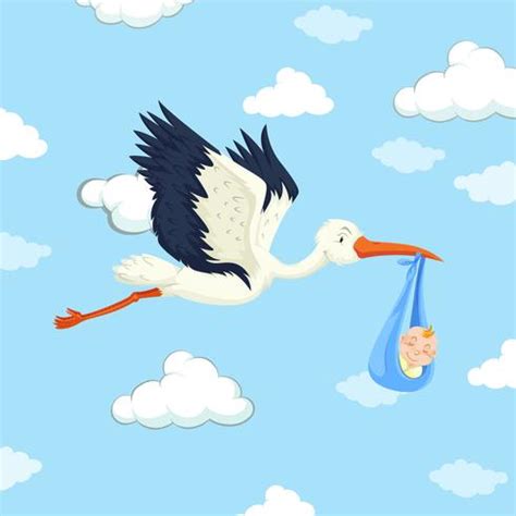 Stork delivering baby boy 296276 Vector Art at Vecteezy