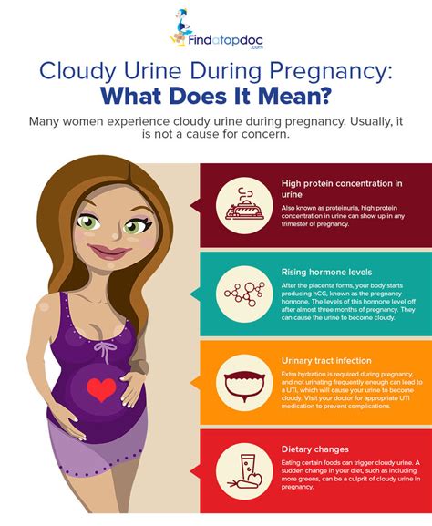 FindaTopDoc Investigates Top Googled Medical Question, What Causes Cloudy Urine?