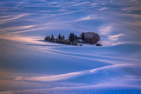 Palouse in Winter 2 Stock Image, Palouse Region, Washington - Sean Bagshaw Outdoor Exposure ...