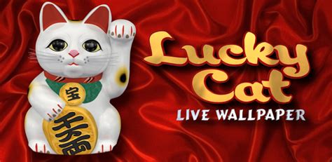 🔥 [30+] Lucky Cat Wallpapers Desktop | WallpaperSafari