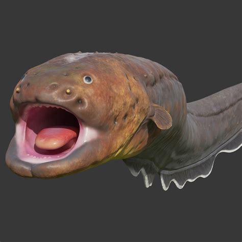 Electric Eel Rigged Animal Model - TurboSquid 1492077