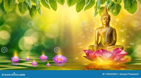 Buddha Statue Water Lotus Buddha Standing on Lotus Flower on Orange ...