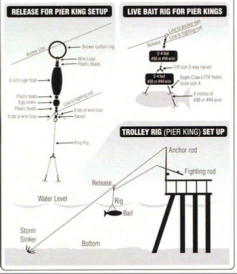 Pier Trolley Rig setup | Fishing tips, Pier fishing, Fishing techniques