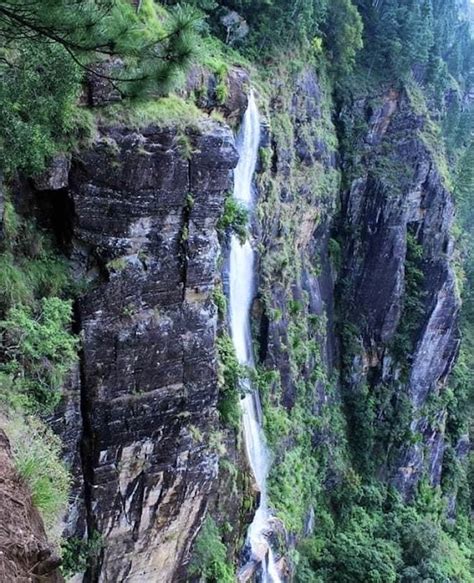 Bambarakanda Falls: Tallest Waterfall In Sri Lanka