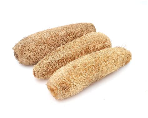 3 packs Natural Loofah Exfoliating Bath Body Shower Sponge 10 ...