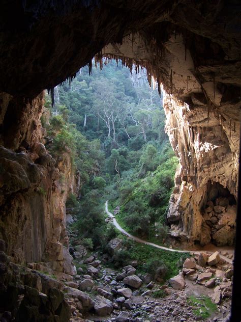 Jenolan Caves | Blue mountains australia, Jenolan caves, Australia