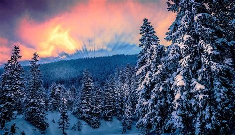 winter wallpapers, photos and desktop backgrounds up to 8K [7680x4320 ...