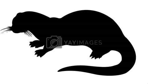 vector silhouette otter on white background by basel101658 Vectors ...