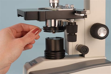 Microscope Activities, 7: The Substage Condenser