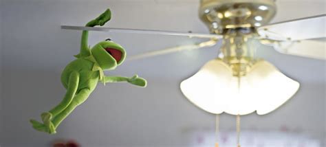 Kermit Ceiling Fan Gif - Patio Ceiling Fan