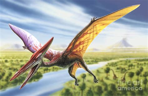 Pterodactyl Digital Art by Adrian Chesterman