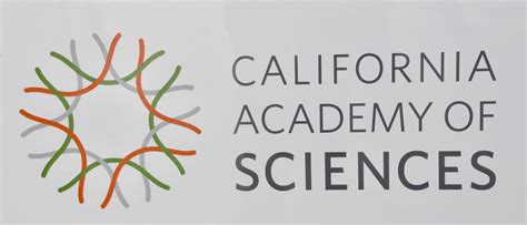 A Day at California Academy of Sciences - Review