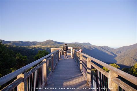 dorrigo national park skywalk, nsw | Places to travel, National parks, Trip