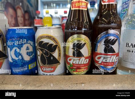 Cerveza gallo de guatemala hi-res stock photography and images - Alamy