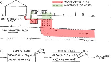 4.1 Treatment in the Septic Tank (Anaerobic) – Septic System Impacts on Groundwater Quality