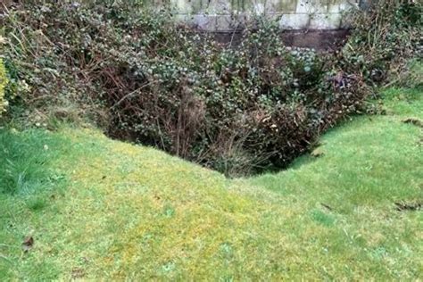 10m wide mine collapse in Cornwall garden could get bigger, says expert | Ground Engineering