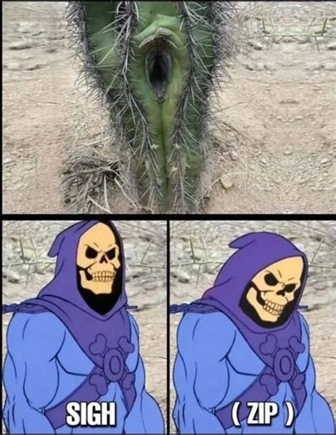 Sigh Zip Cactus | Skeletor Unzips Pants / Sigh Zip | Know Your Meme