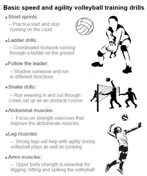 Circuit Training news: Volleyball Circuit Training Drills