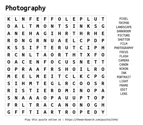 Download Word Search on Photography