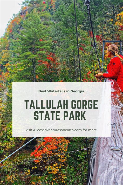 Best Waterfalls in Georgia - Tallulah Gorge State Park