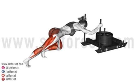 Sled Push & Pull: Benefits, Muscles Worked, & Variations - SET FOR SET