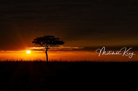 Iconic African Sunrise - Landscape Photos of Maasai Mara, Kenya