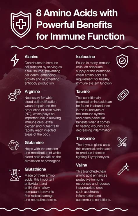 Boosting Your Immune System with Amino Acids : r/aminoacids